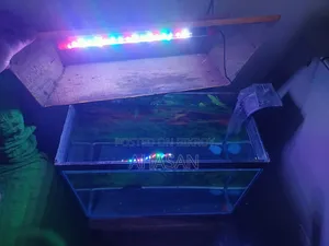 ১৮/৯/১৪ অ্যাকোয়ারিয়াম