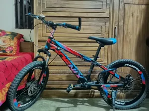 Phoenix Bicycle