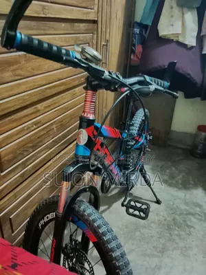 Phoenix Bicycle