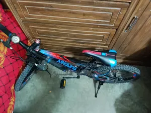 Phoenix Bicycle