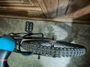 Phoenix Bicycle