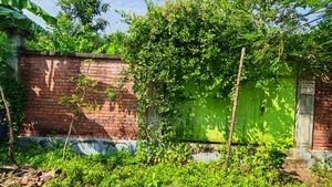 3 Katha South-Facing Plot for Sale in Purbachal Sector 26