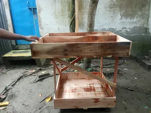 Push Cart Style Food Stall