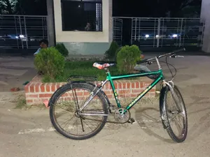Bicycle Sale