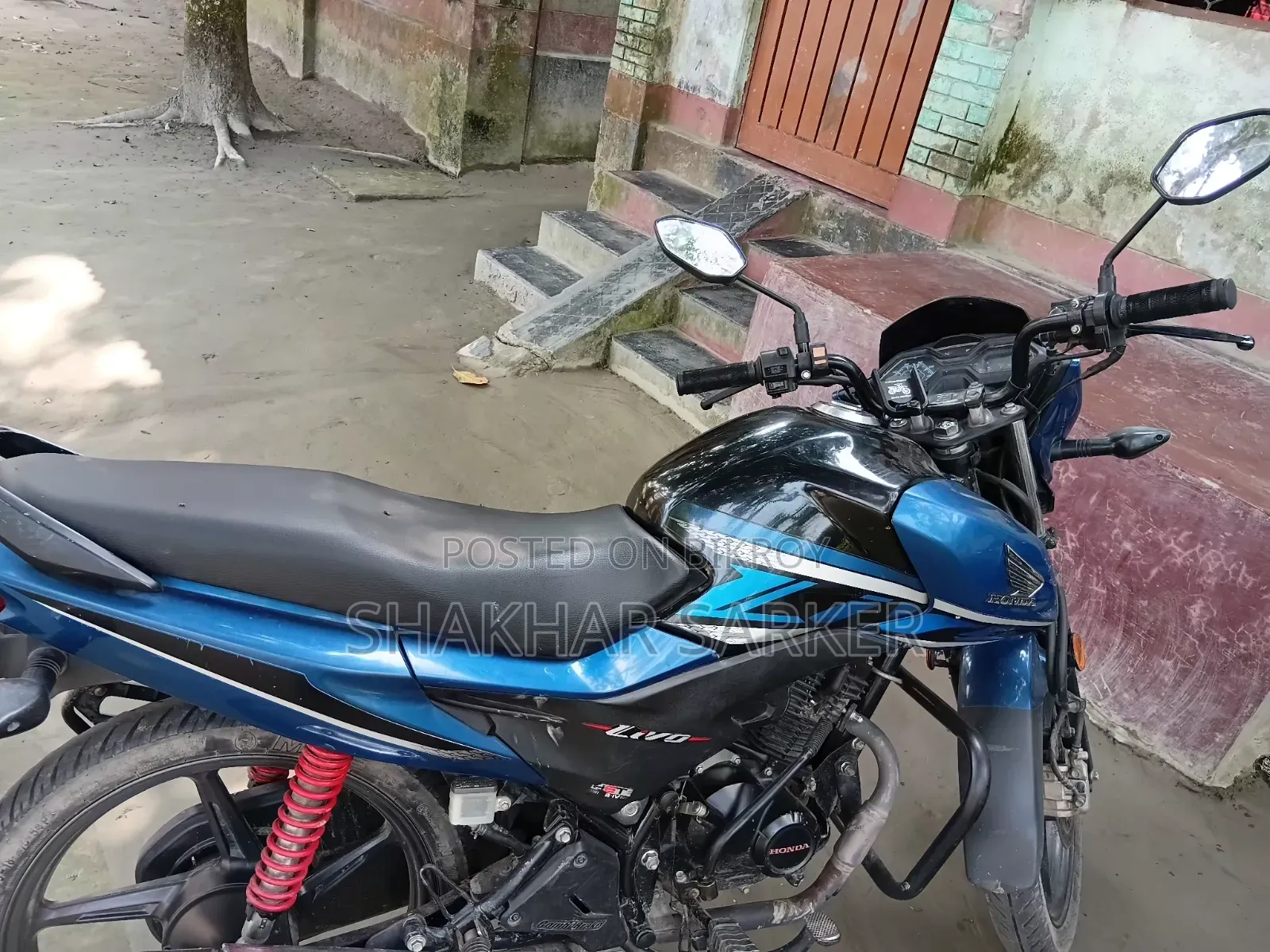 Honda Livo 2024 Blue