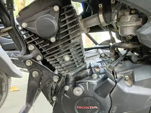 Honda Livo 2024 Blue
