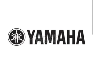 Yamaha FZS V2 2022 Blue