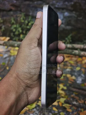 অনার ৪০০ ৫১২ জিবি রোজ গোল্ড