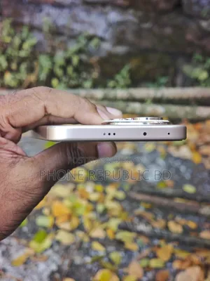 অনার ৪০০ ৫১২ জিবি রোজ গোল্ড