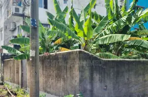 ইস্টার্ন হাউজিং পল্লবী ফেজ টু, মিরপুরে ২.৫ কাঠা জমি বিক্রি হবে