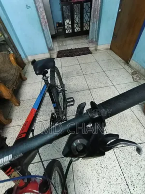 Bicycle Cycle