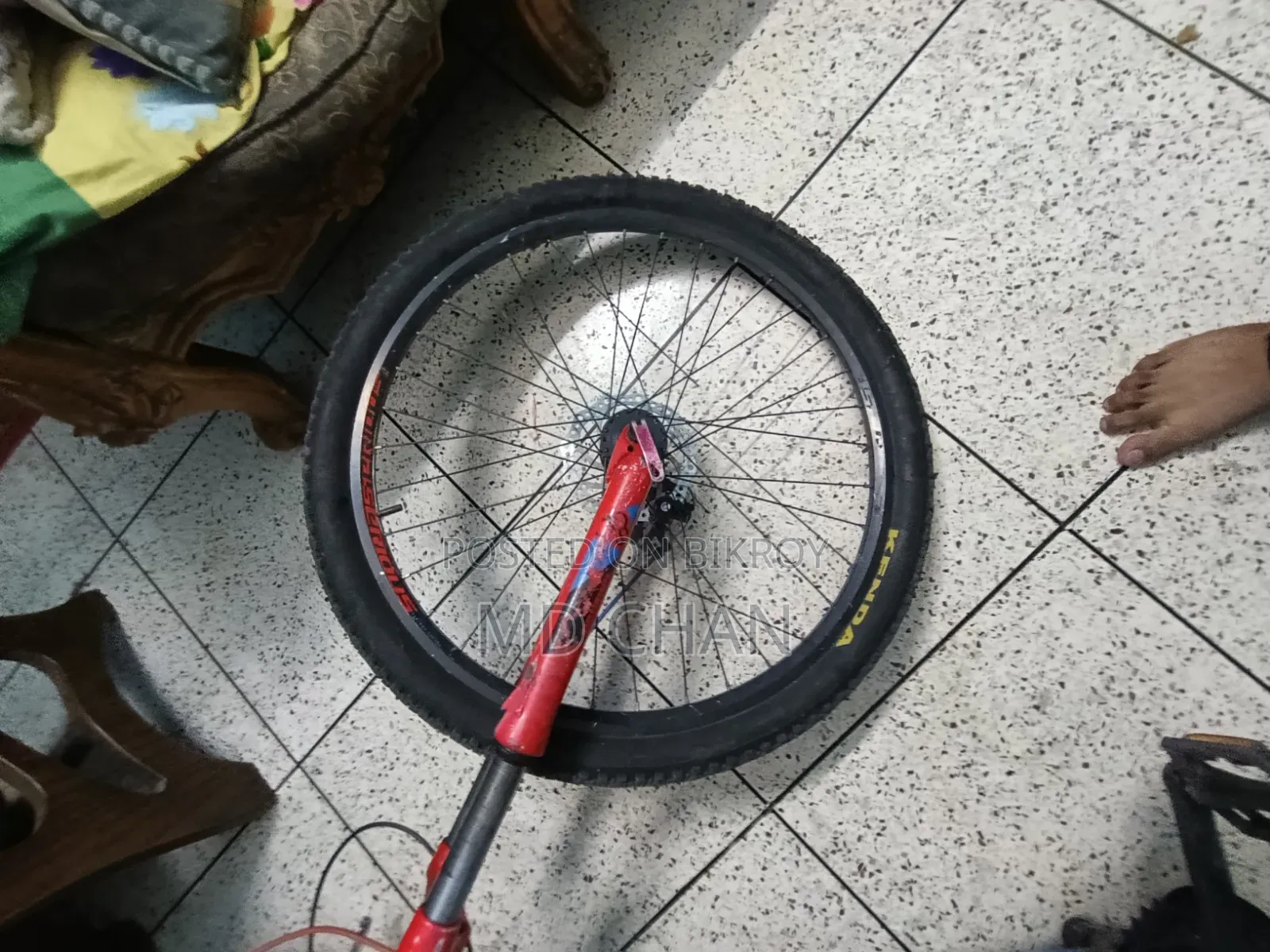 Bicycle Cycle