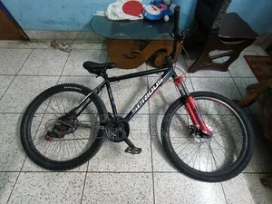 Bicycle Cycle