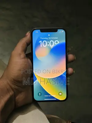 অ্যাপল আইফোন ১২ প্রো ২৫৬ জিবি ব্লু