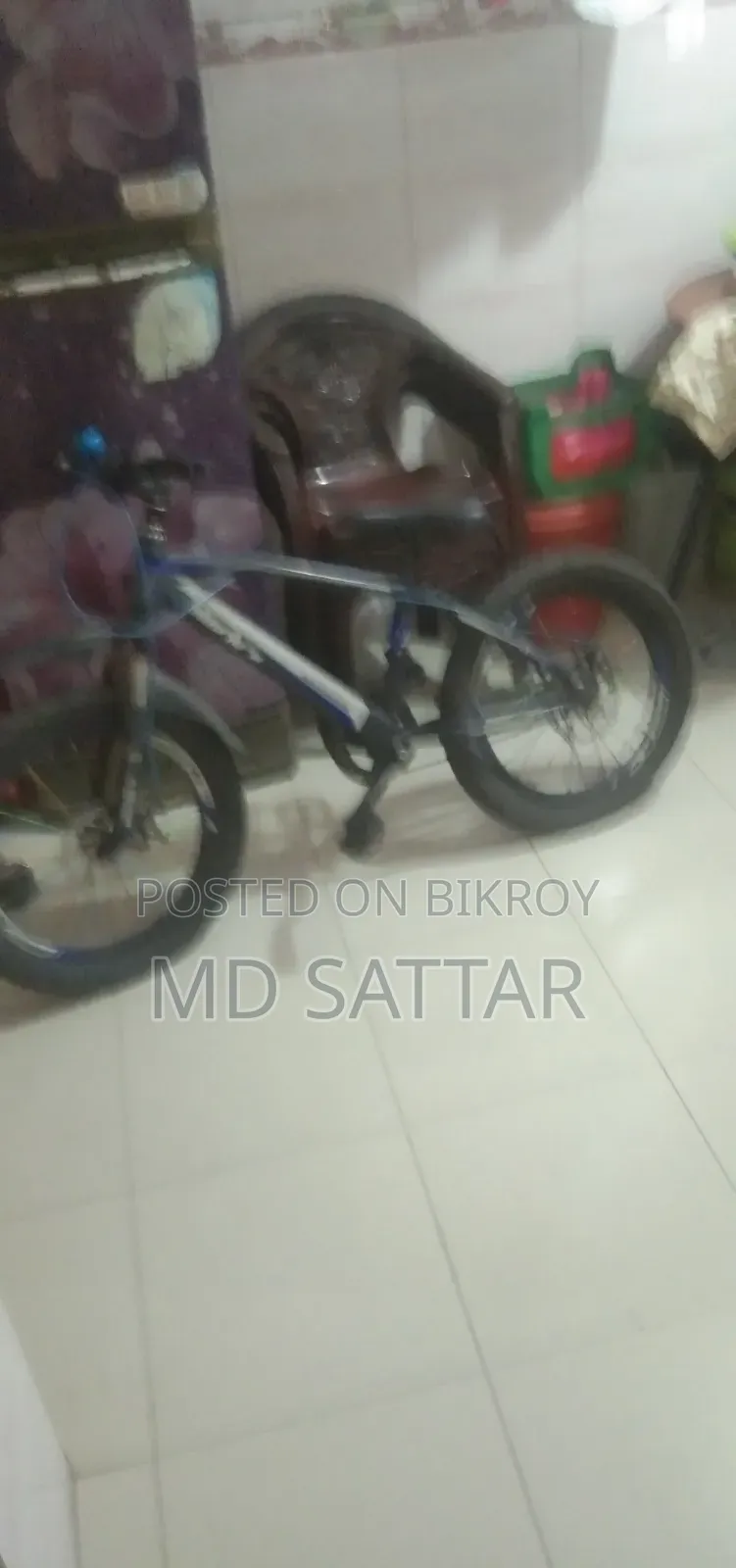 Willing to Sell a Bicycle