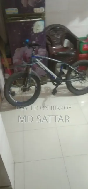 Willing to Sell a Bicycle