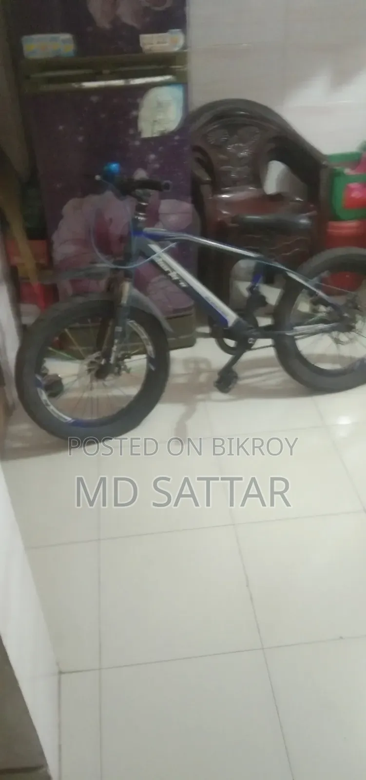 Willing to Sell a Bicycle