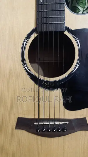 Deviser L-720a Pure Acoustic Guitar