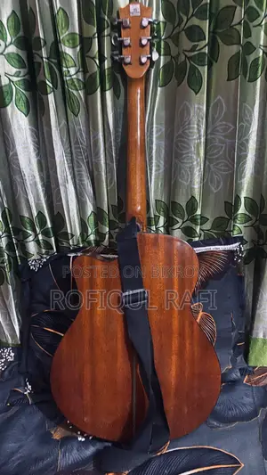 Deviser L-720a Pure Acoustic Guitar