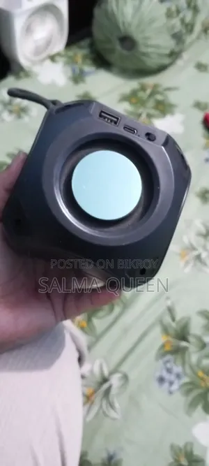 মিনি স্পিকার