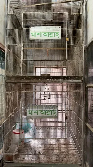 Bird Cage For Sale.