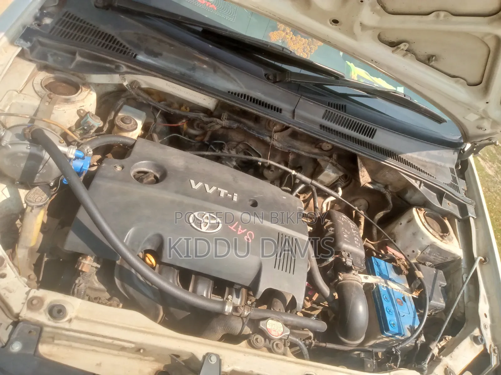 Toyota Probox 2004 White