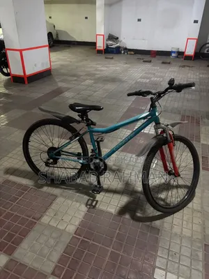 দুরন্ত সাইকেল