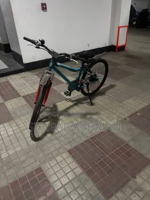 দুরন্ত সাইকেল