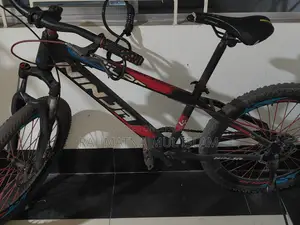 24 Inch Non-Gear Bicycle for Sale