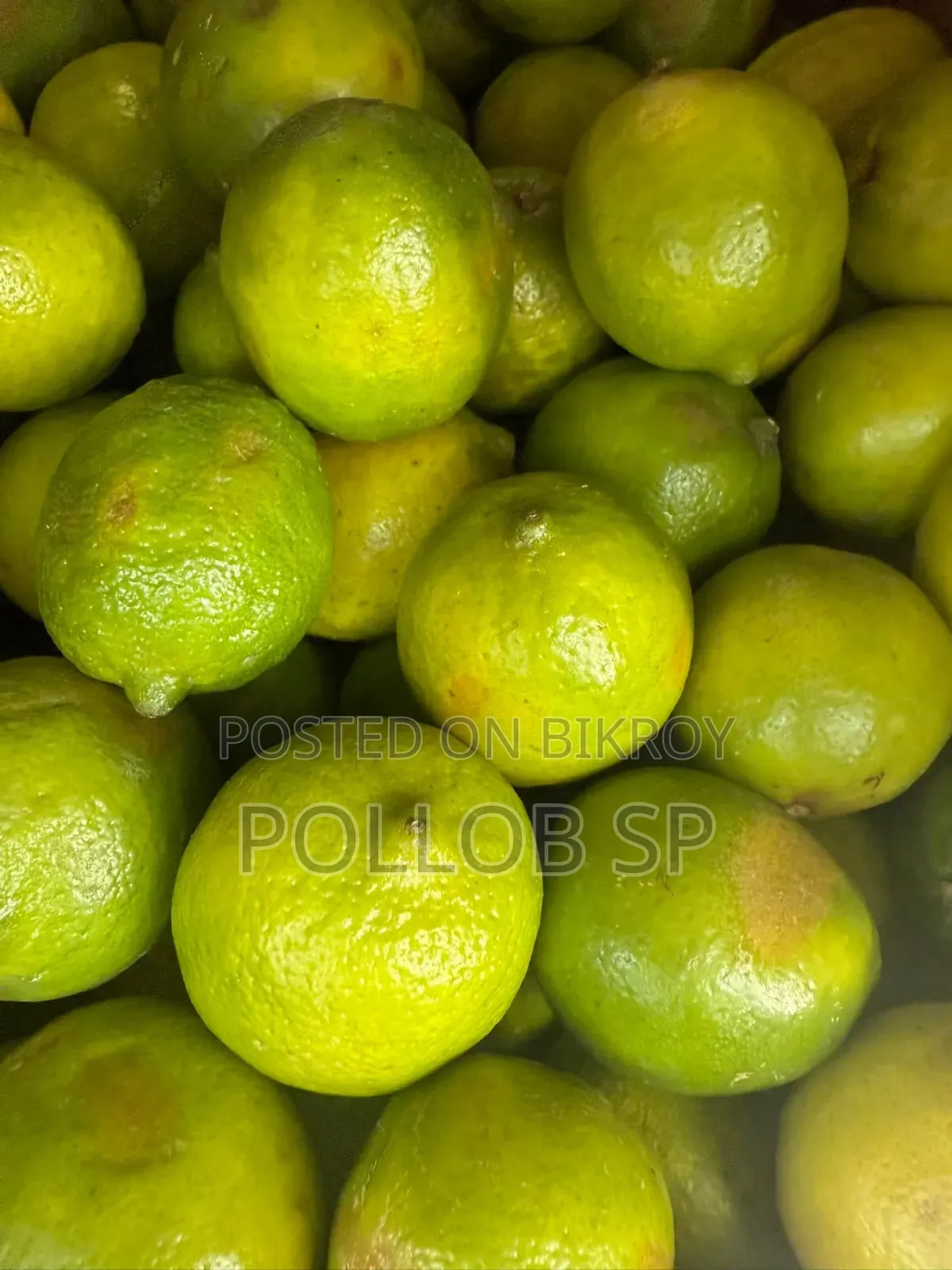 China 3 Lemon