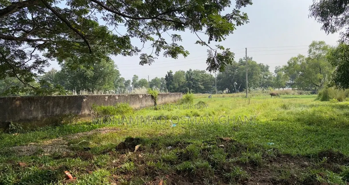 প্রাকৃতিক উঁচু ভূমি - প্রস্তুত প্লট, আশুলিয়া মডেল টাউন