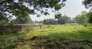 প্রাকৃতিক উঁচু ভূমি - প্রস্তুত প্লট, আশুলিয়া মডেল টাউন