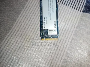 Antique 512GB M.2 Nvme SSD