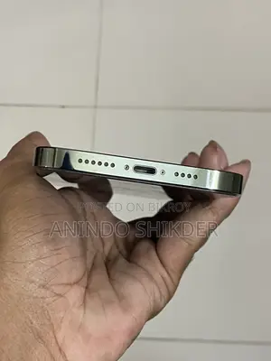 অ্যাপল আইফোন ১৩ প্রো ম্যাক্স ২৫৬ জিবি গ্রিন