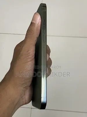 অ্যাপল আইফোন ১৩ প্রো ম্যাক্স ২৫৬ জিবি গ্রিন