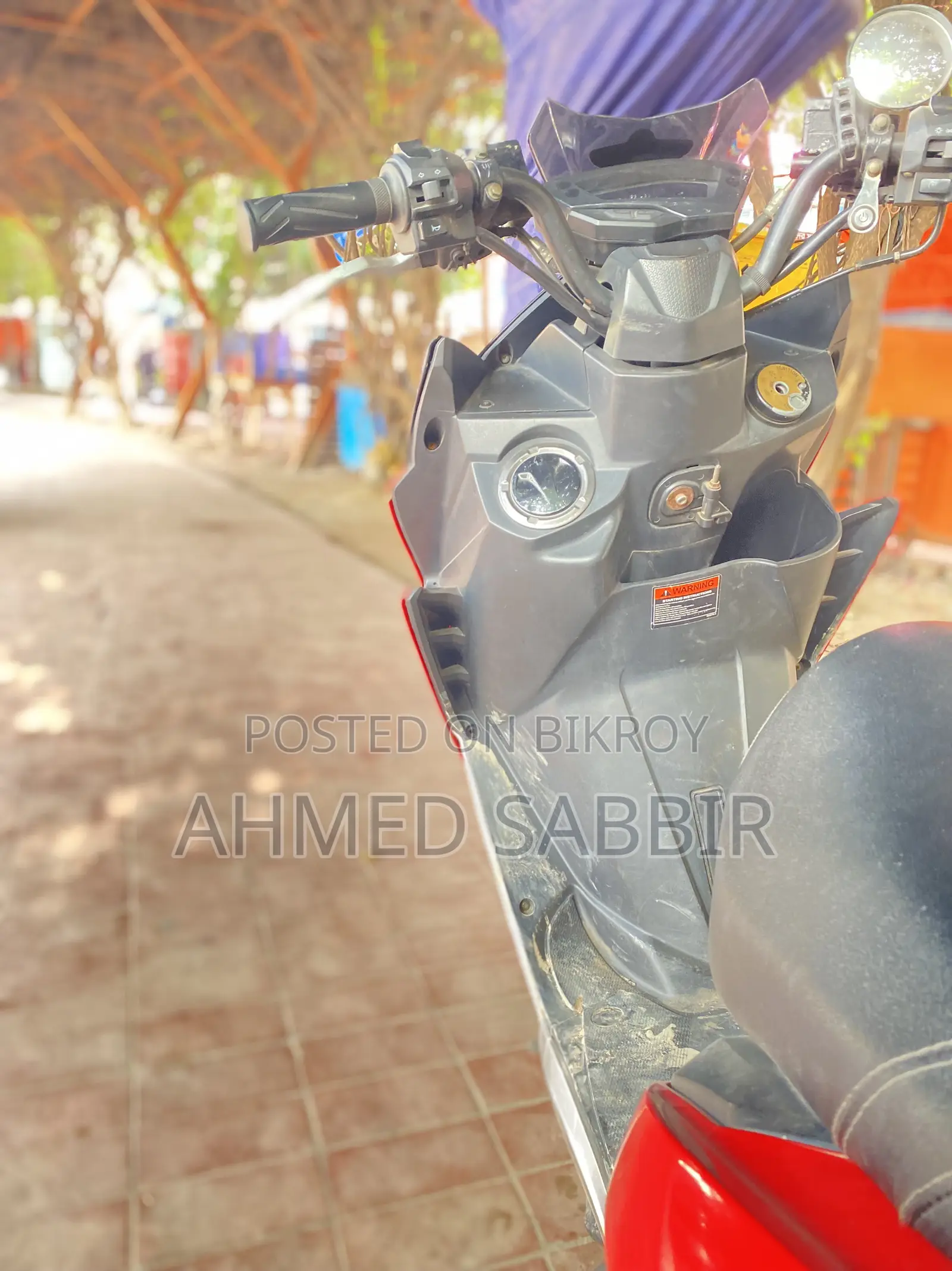 বিটেল বোল্ট স্টিংগার ২০১৯ লাল