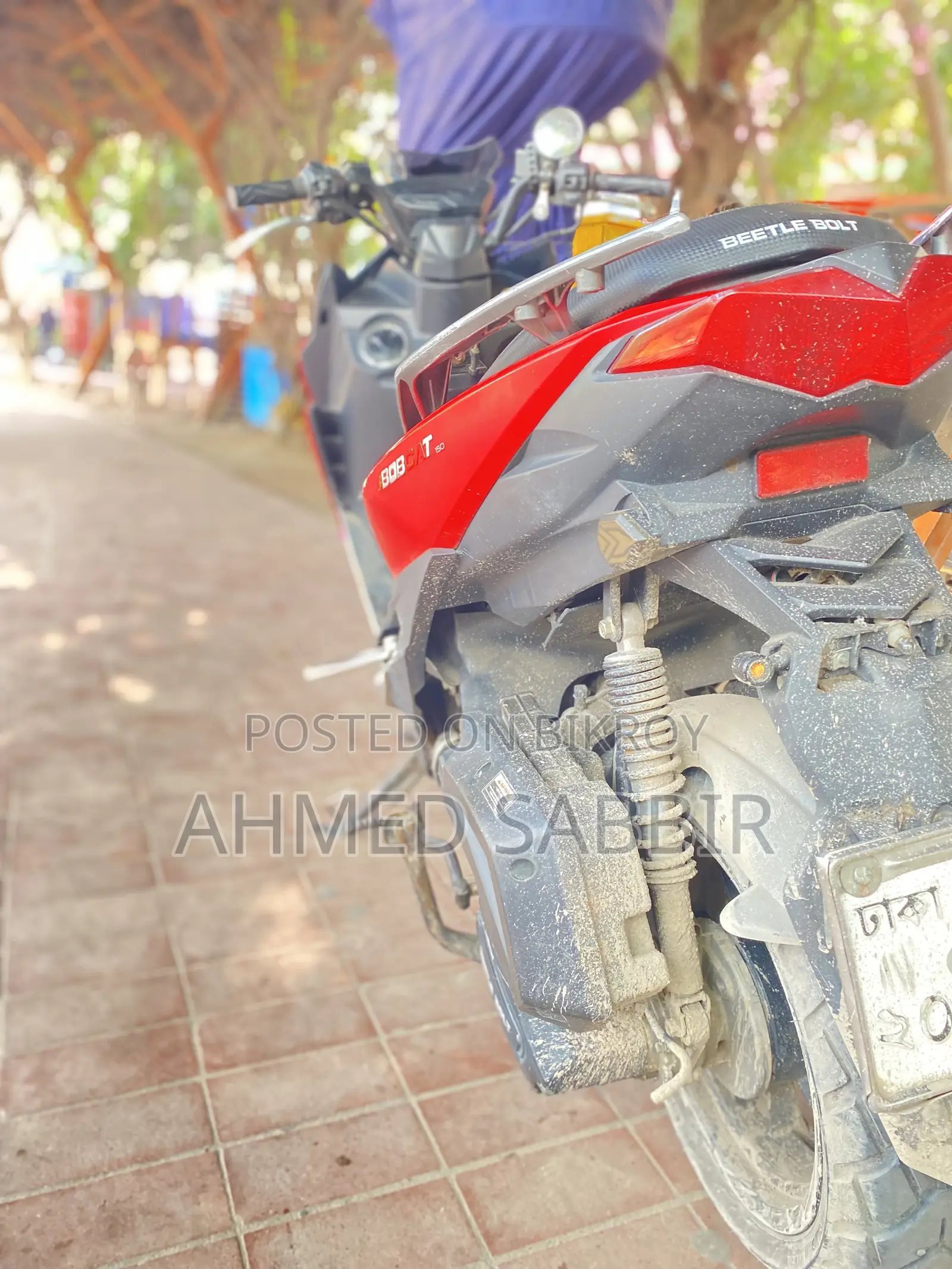 বিটেল বোল্ট স্টিংগার ২০১৯ লাল