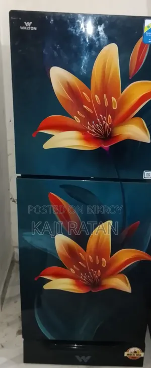 Refrigerator purchased two months ago, completely brand new with no scratches