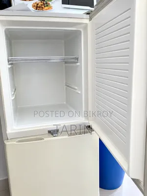 Singer Fridge