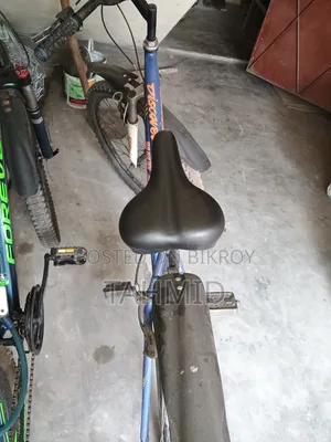 Bicycle Like New Duranta