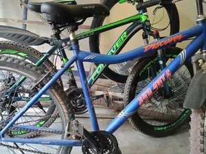 Bicycle Like New Duranta