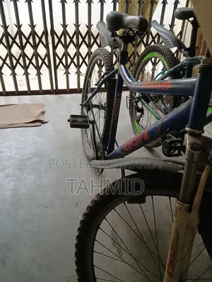 Bicycle Like New Duranta