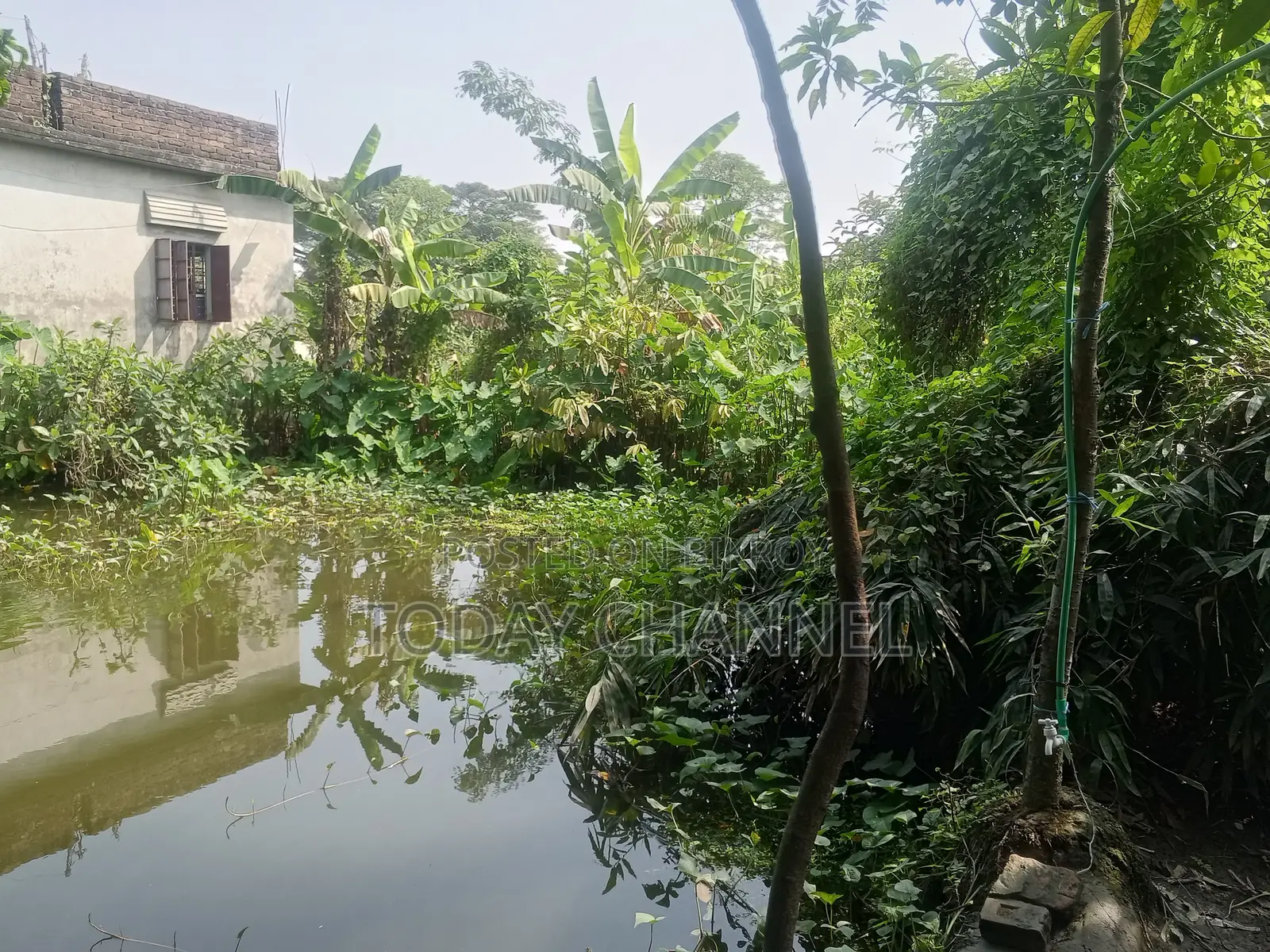 Land and House