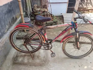 Duronto Bicycle Non-Gear 95% OK