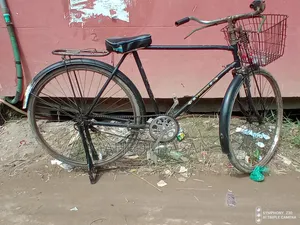 Phoenix Bicycle