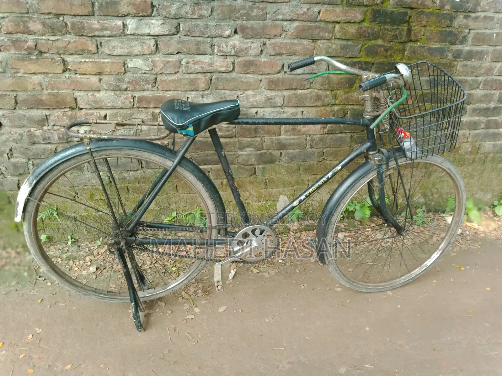 Phoenix Bicycle