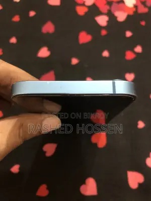 স্যামসাং ২৫৬ জিবি রূপালী