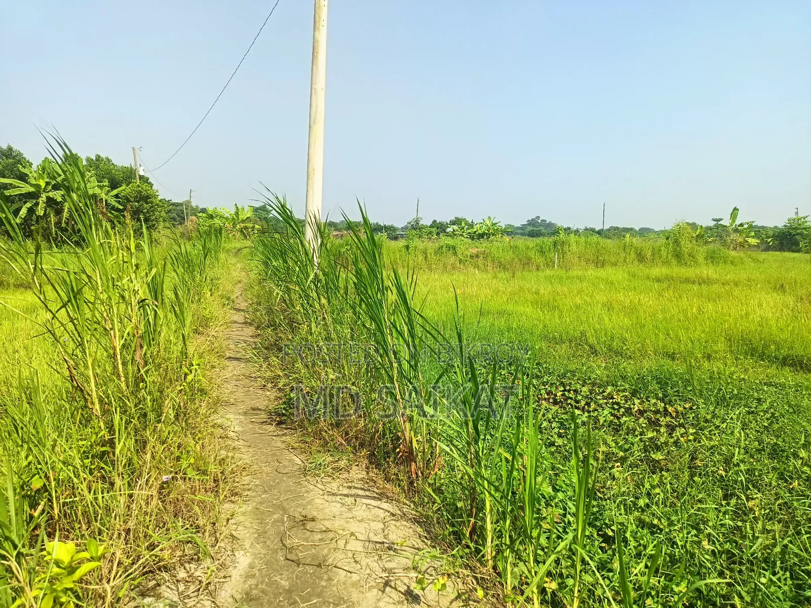 Land Sale 4 Decimal Agricultural Time Land