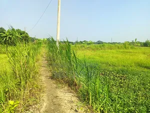 Land Sale 4 Decimal Agricultural Time Land