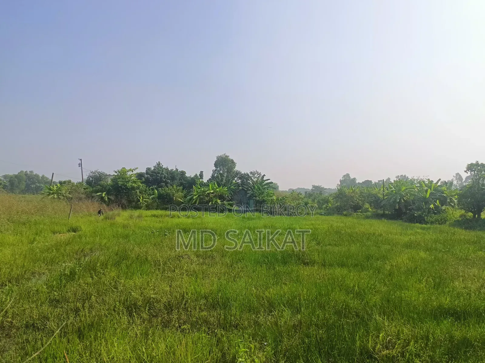 Land Sale 4 Decimal Agricultural Time Land